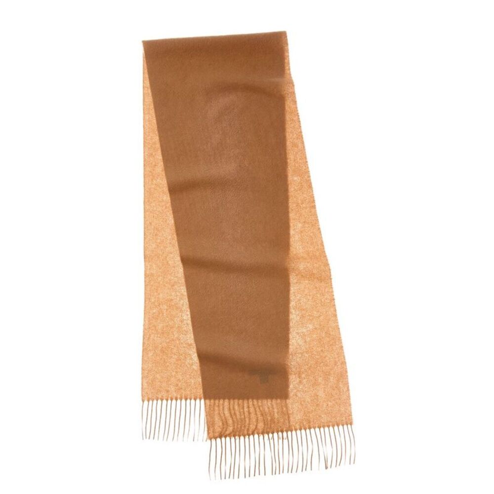 Amicale Cashmere Solid Cashmere Scarf, Brown
